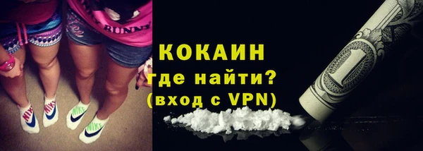 сатива Алзамай
