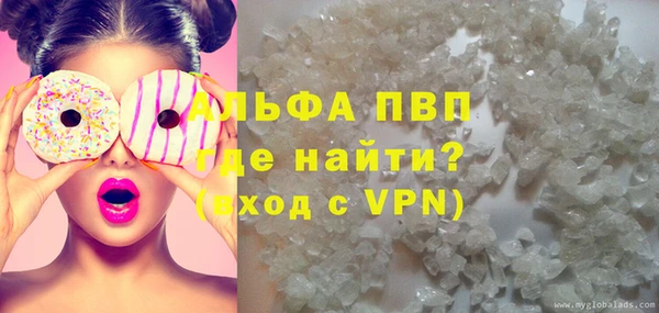 сатива Алзамай
