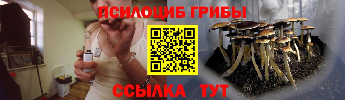 Псилоцибиновые грибы Magic Shrooms  Вход с VPN  Куйбышев 