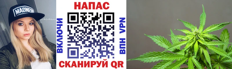 Шишки марихуана планчик  Куйбышев 